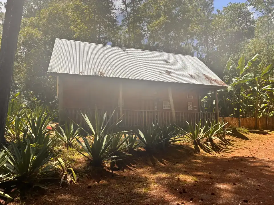 Exterior de la cabaña Magueyal con porche de madera, rodeada de magueyes y árboles