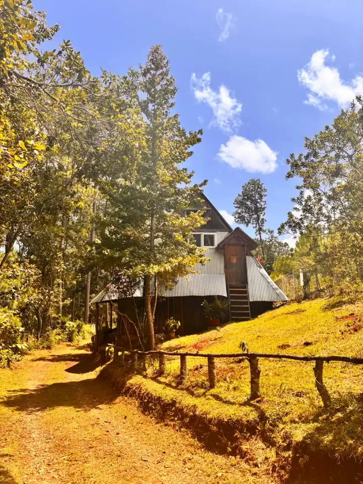 Cabaña Aguacatillo entre árboles, junto a un sendero y una cerca de madera
