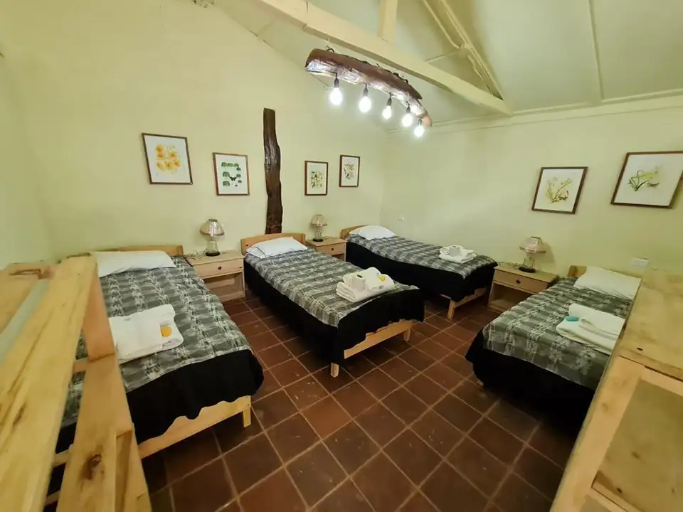 Habitación de Payacal con camas individuales y decoración botánica