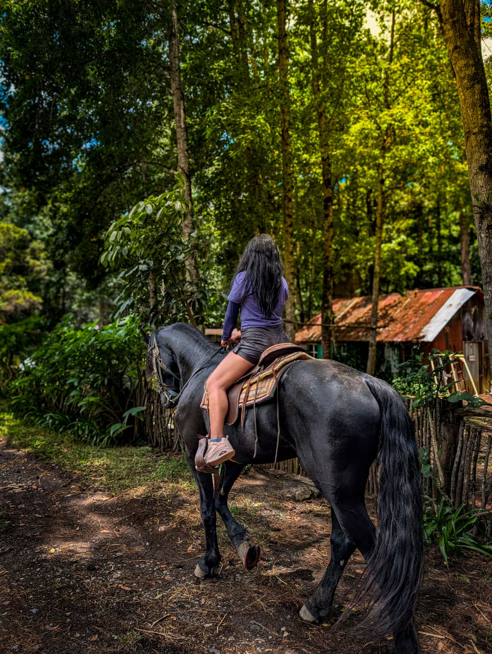 Caballo y jinete en el camino de la granja de Casa Misterio Verde